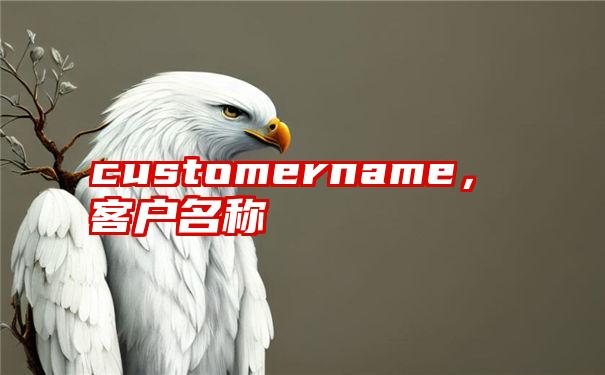 customername，客户名称