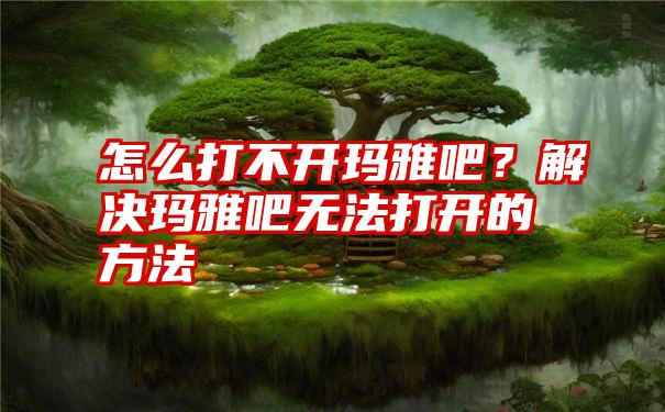 怎么打不开玛雅吧？解决玛雅吧无法打开的方法