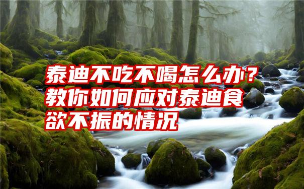 泰迪不吃不喝怎么办？教你如何应对泰迪食欲不振的情况