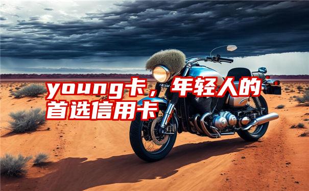 young卡，年轻人的首选信用卡