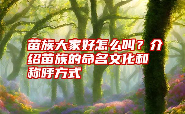 苗族大家好怎么叫？介绍苗族的命名文化和称呼方式