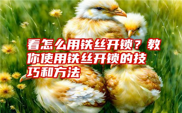 看怎么用铁丝开锁？教你使用铁丝开锁的技巧和方法