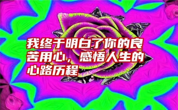 我终于明白了你的良苦用心，感悟人生的心路历程