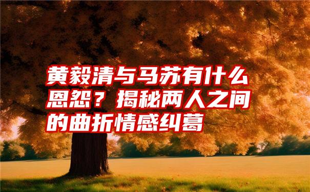 黄毅清与马苏有什么恩怨？揭秘两人之间的曲折情感纠葛