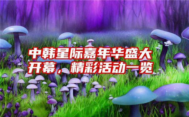 中韩星际嘉年华盛大开幕，精彩活动一览