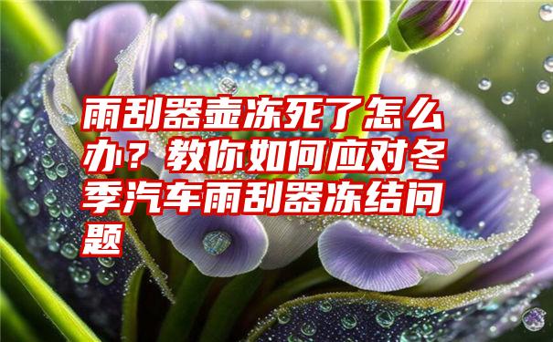 雨刮器壶冻死了怎么办？教你如何应对冬季汽车雨刮器冻结问题