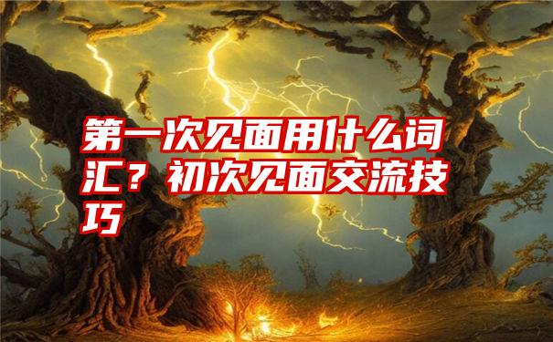 第一次见面用什么词汇？初次见面交流技巧