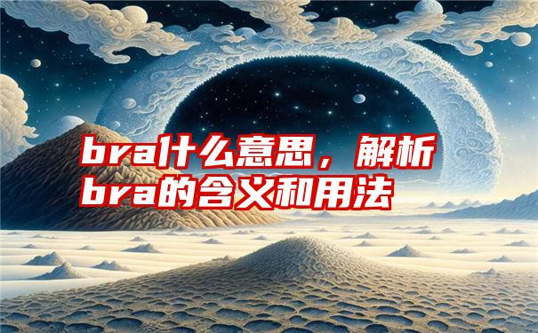 bra什么意思，解析bra的含义和用法