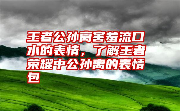 王者公孙离害羞流口水的表情，了解王者荣耀中公孙离的表情包