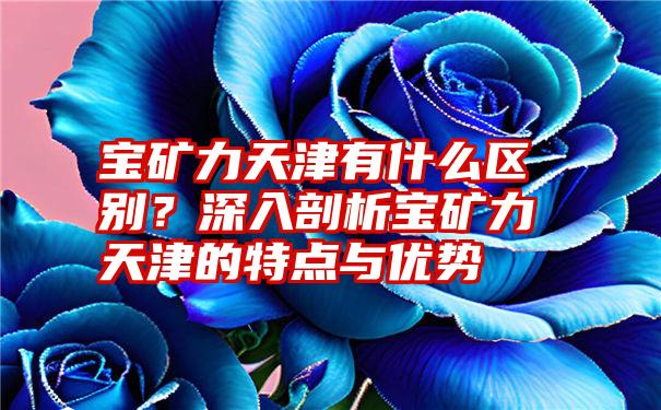 宝矿力天津有什么区别？深入剖析宝矿力天津的特点与优势