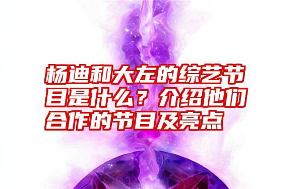 杨迪和大左的综艺节目是什么？介绍他们合作的节目及亮点