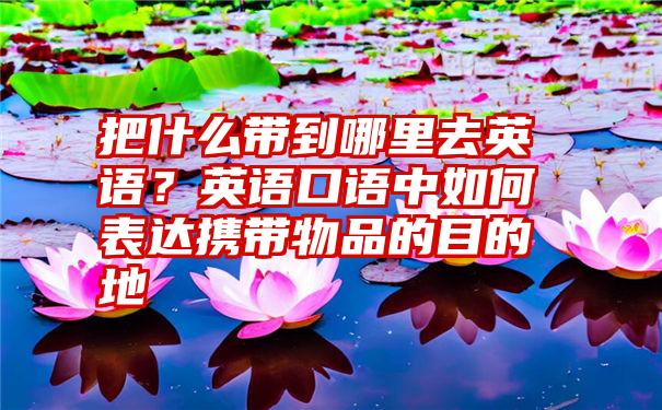 把什么带到哪里去英语？英语口语中如何表达携带物品的目的地