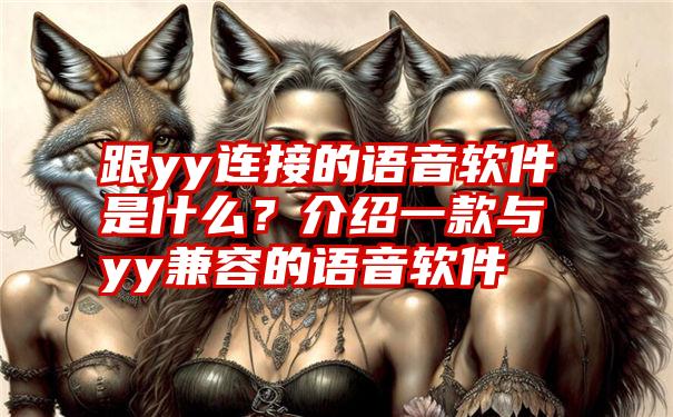 跟yy连接的语音软件是什么？介绍一款与yy兼容的语音软件