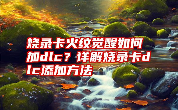 烧录卡火纹觉醒如何加dlc？详解烧录卡dlc添加方法