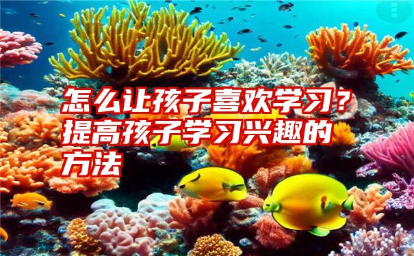 怎么让孩子喜欢学习？提高孩子学习兴趣的方法