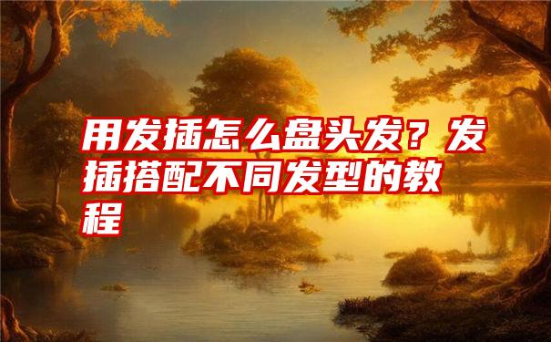 用发插怎么盘头发？发插搭配不同发型的教程