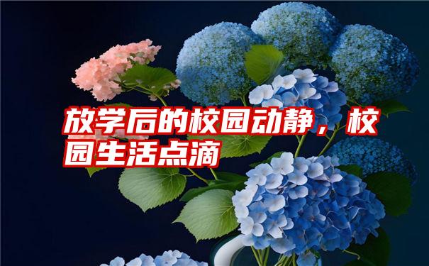 放学后的校园动静，校园生活点滴