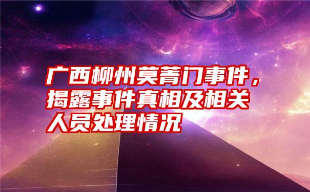 广西柳州莫菁门事件，揭露事件真相及相关人员处理情况