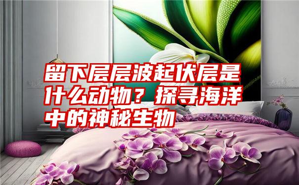 留下层层波起伏层是什么动物？探寻海洋中的神秘生物