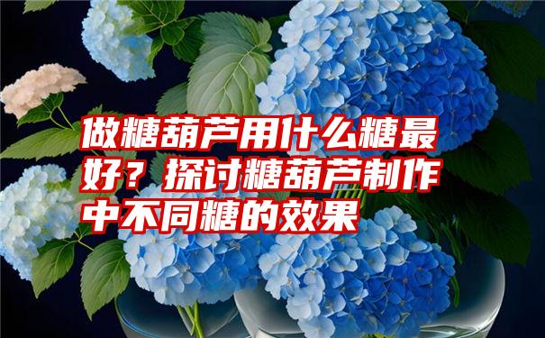 做糖葫芦用什么糖最好？探讨糖葫芦制作中不同糖的效果