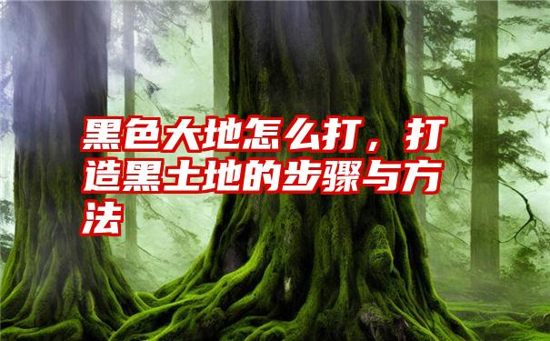 黑色大地怎么打，打造黑土地的步骤与方法