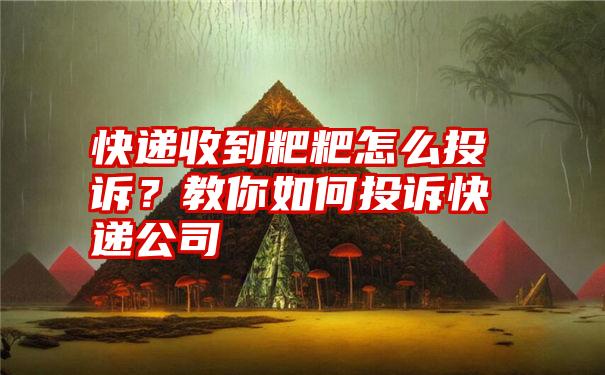 快递收到粑粑怎么投诉？教你如何投诉快递公司