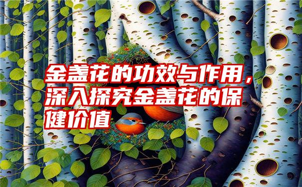 金盏花的功效与作用，深入探究金盏花的保健价值