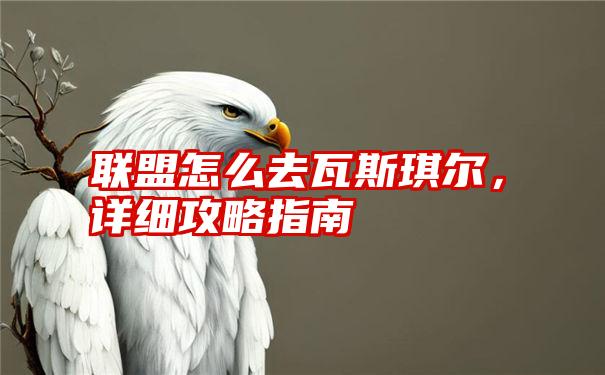 联盟怎么去瓦斯琪尔，详细攻略指南