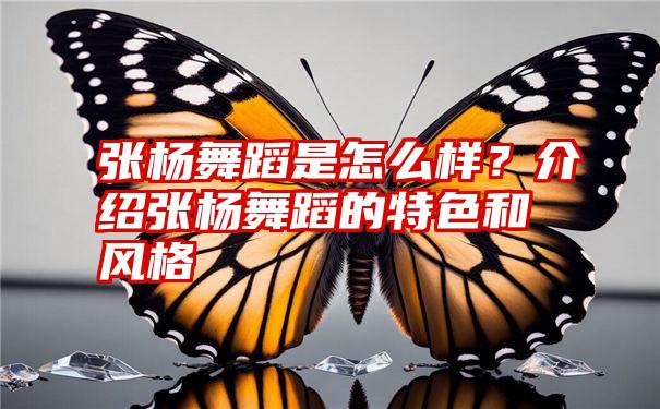 张杨舞蹈是怎么样？介绍张杨舞蹈的特色和风格