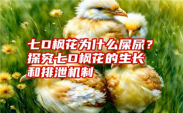 七D枫花为什么屎尿？探究七D枫花的生长和排泄机制