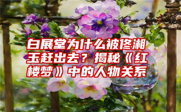 白展堂为什么被佟湘玉赶出去？揭秘《红楼梦》中的人物关系