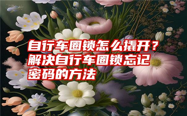 自行车圈锁怎么撬开？解决自行车圈锁忘记密码的方法