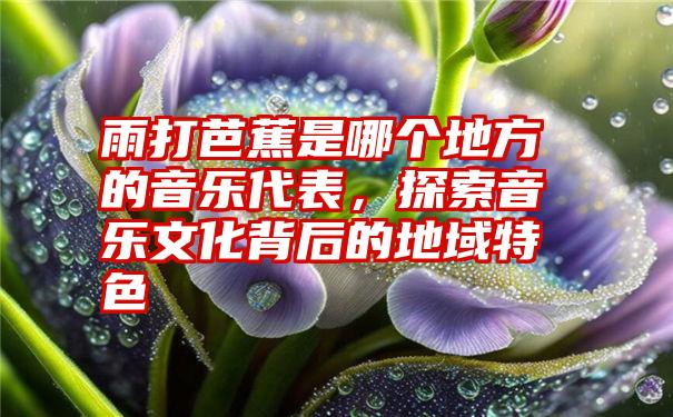 雨打芭蕉是哪个地方的音乐代表，探索音乐文化背后的地域特色