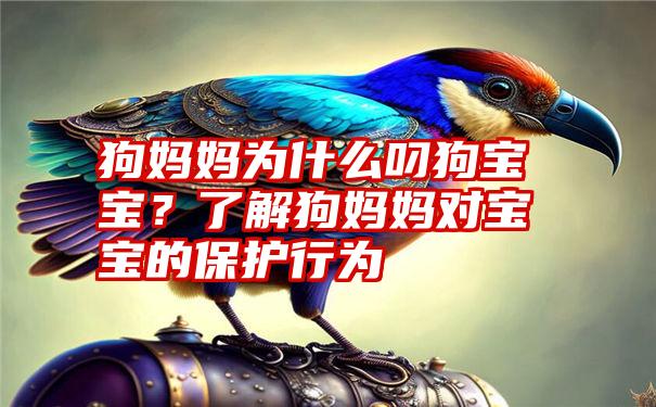 狗妈妈为什么叼狗宝宝？了解狗妈妈对宝宝的保护行为