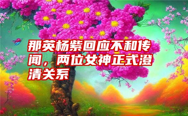 那英杨紫回应不和传闻，两位女神正式澄清关系