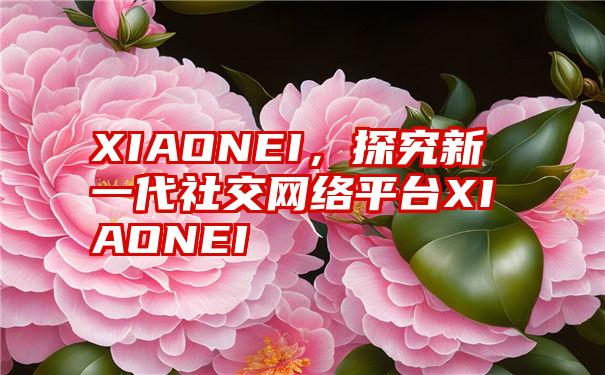 XIAONEI，探究新一代社交网络平台XIAONEI