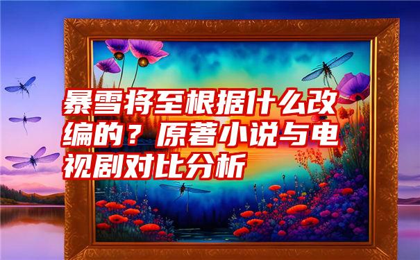 暴雪将至根据什么改编的？原著小说与电视剧对比分析