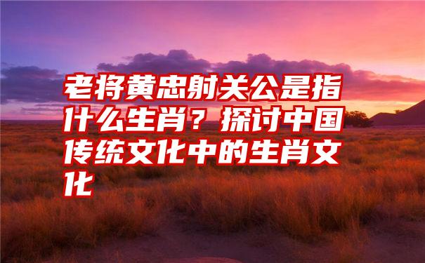 老将黄忠射关公是指什么生肖？探讨中国传统文化中的生肖文化