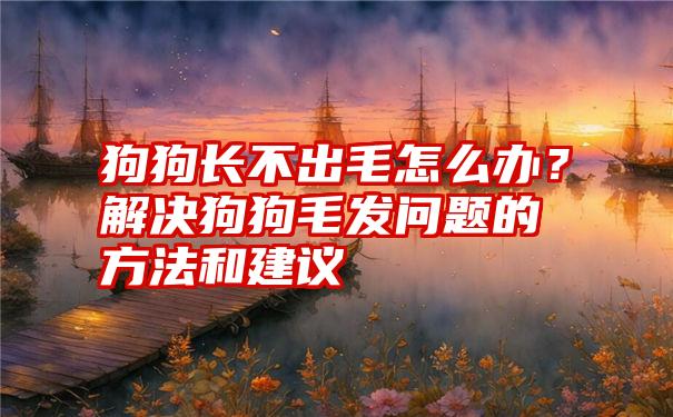 狗狗长不出毛怎么办？解决狗狗毛发问题的方法和建议