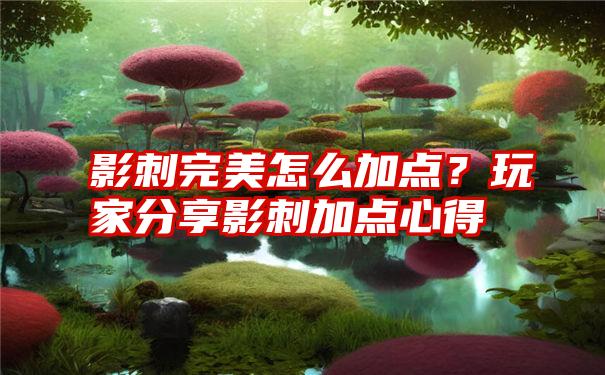 影刺完美怎么加点？玩家分享影刺加点心得