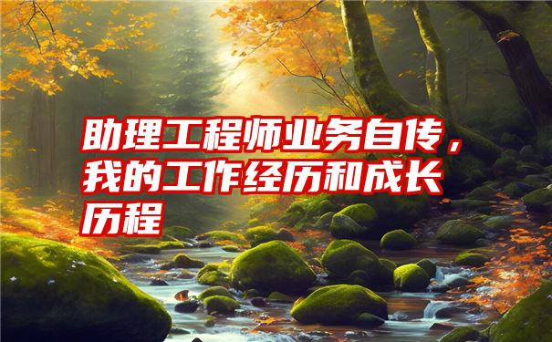 助理工程师业务自传，我的工作经历和成长历程