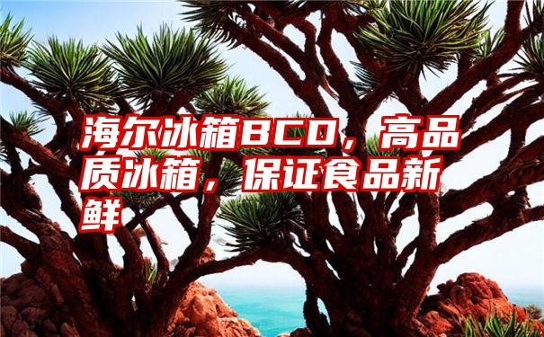 海尔冰箱BCD，高品质冰箱，保证食品新鲜