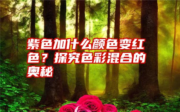 紫色加什么颜色变红色？探究色彩混合的奥秘