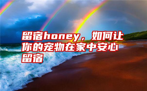 留宿honey，如何让你的宠物在家中安心留宿