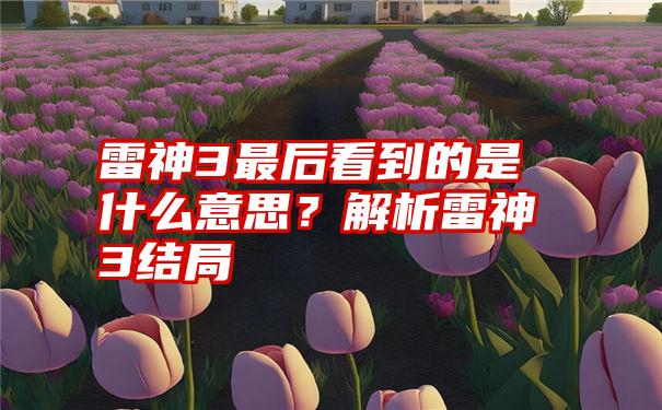 雷神3最后看到的是什么意思？解析雷神3结局