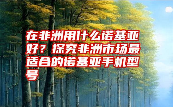 在非洲用什么诺基亚好？探究非洲市场最适合的诺基亚手机型号