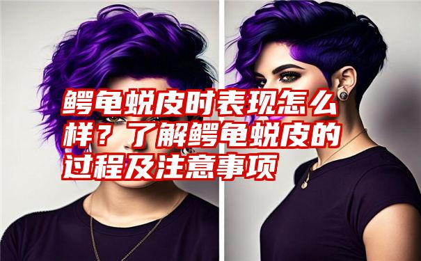 鳄龟蜕皮时表现怎么样？了解鳄龟蜕皮的过程及注意事项