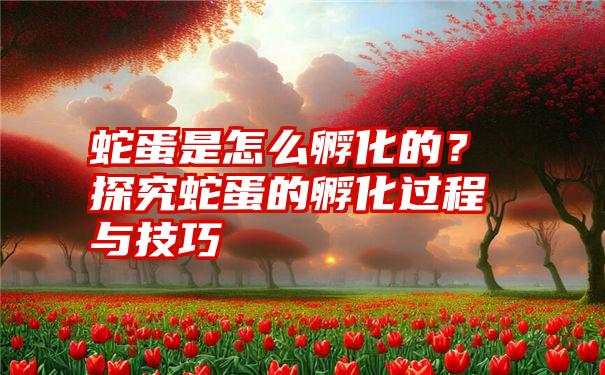 蛇蛋是怎么孵化的？探究蛇蛋的孵化过程与技巧