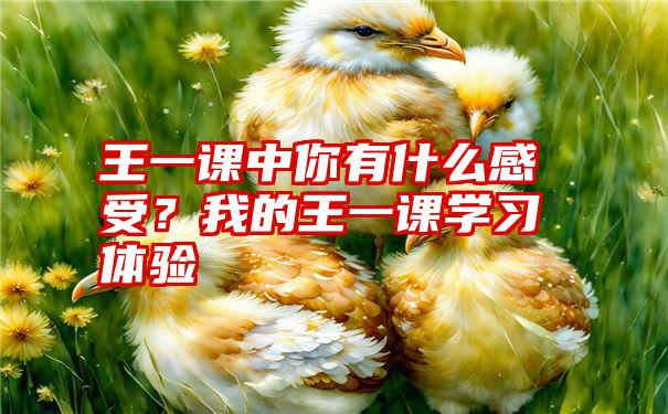 王一课中你有什么感受？我的王一课学习体验