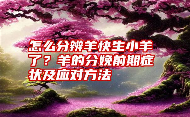 怎么分辨羊快生小羊了？羊的分娩前期症状及应对方法